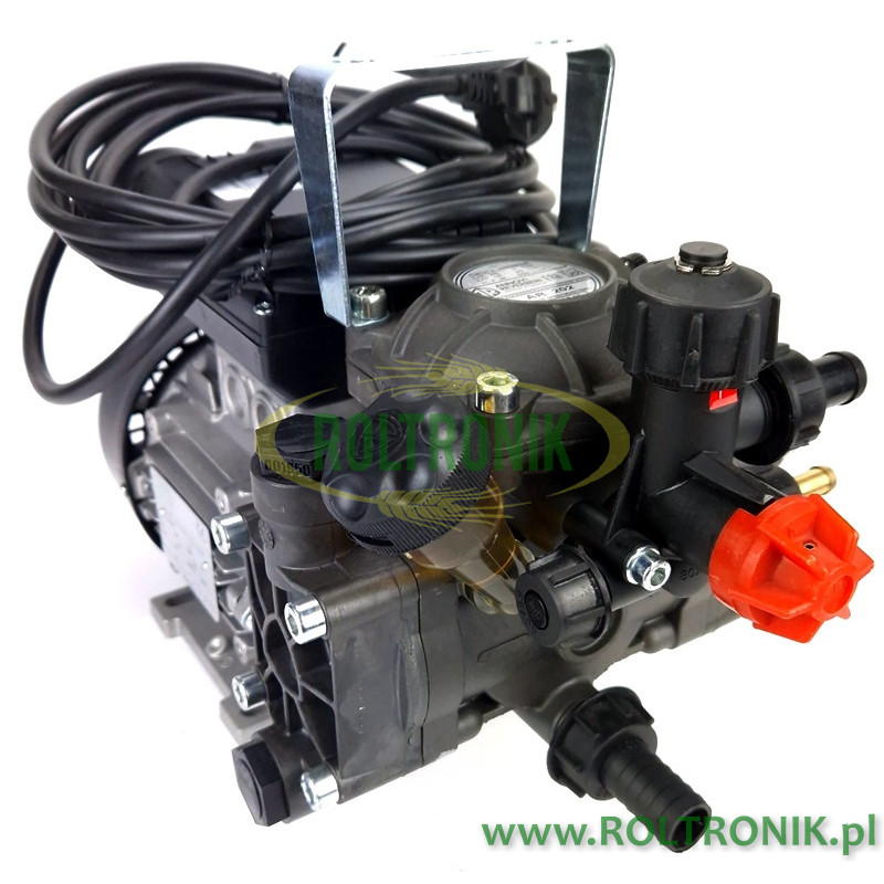 Motorpumpe mit Elektromotor Annovi Reverberi 202, 32175