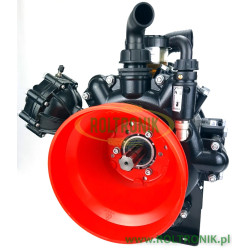 AR 250 Annovi Reverberi BLUEFLEX piston diaphragm pump, AR32043