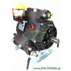 2Bertolni PBO 1250 VD Pumpe