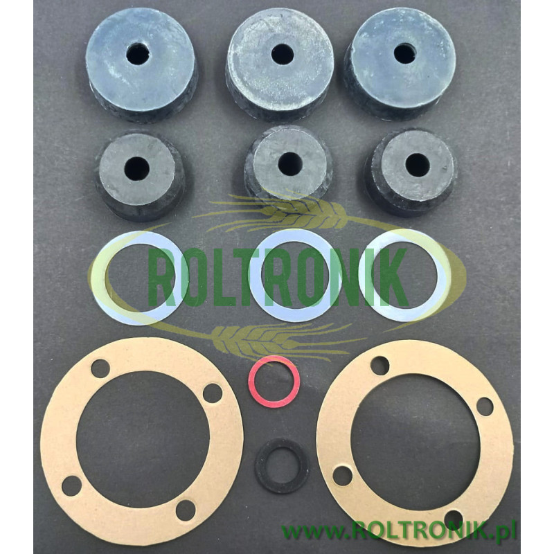 Berthoud Gama 100 und Gama 101 Pumpenreparatursatz, 248830