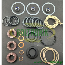 2Berthoud Gama 100 und Gama 101 Pumpenreparatursatz