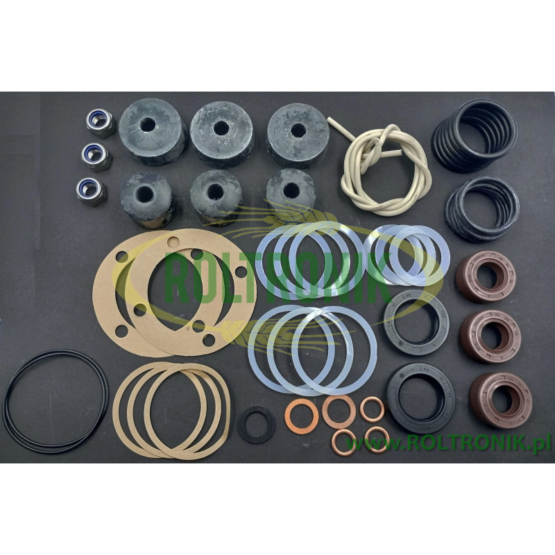 Berthoud Gama 80 und Gama 82 Pumpenreparatursatz, 248828