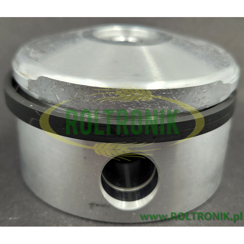 Tłok z pierścieniem pompy PAS Bertolini, 370016093