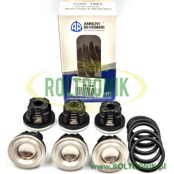 Reparatursatz für Obstgartenpumpenventile AR713, AR813 Annovi Reverberi, KIT1963