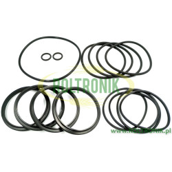 Zestaw uszczelnień zaworu 3" Dammann, 82983