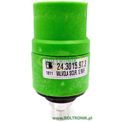 2Zawór bezpieczeństwa pompy Bertolini 12 Bar