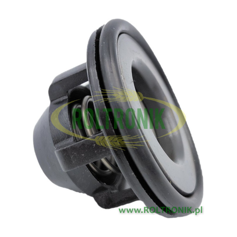 Zaworek pompy Berthoud Gama 82 Gama 101 Gama 130, 269242