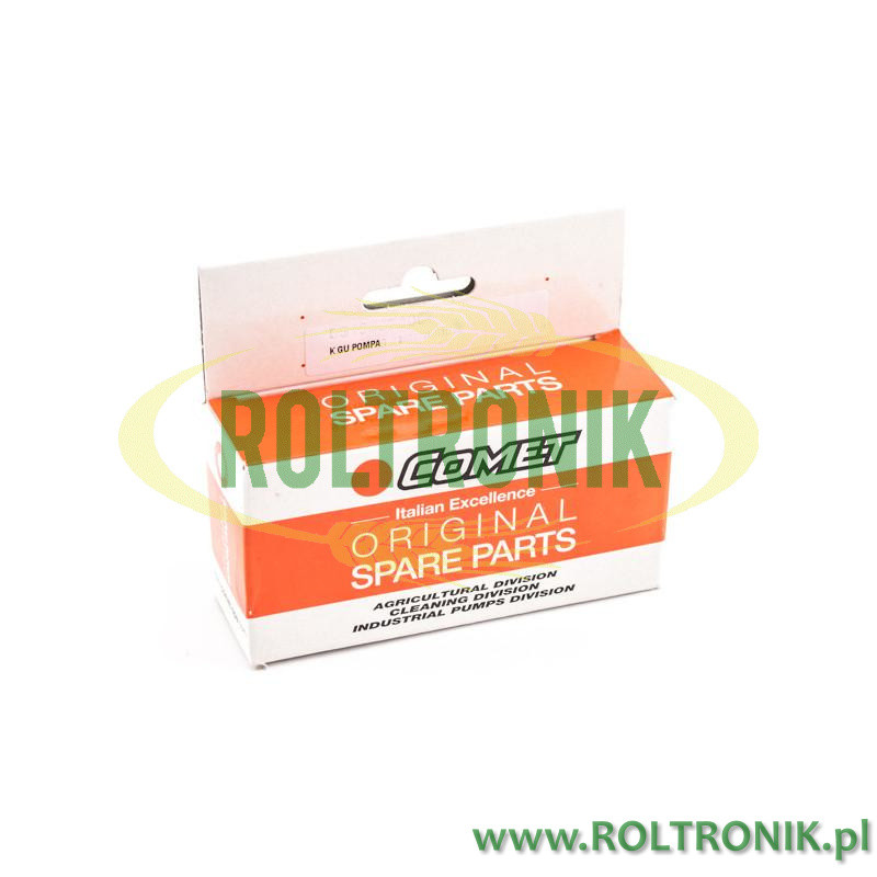 Pump Seal Kit 50190079 Comet