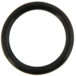 2O-ring do zaworu ssącego2" Amazone