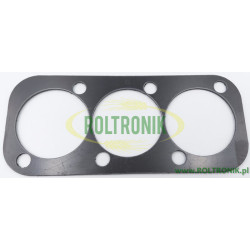 Uszczelka kolektora pompy Berthoud Gama 100 - GAMA 101, 439597