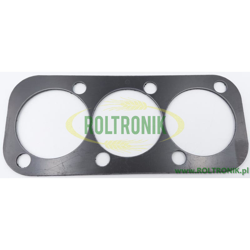 Uszczelka kolektora pompy Berthoud Gama 100 - GAMA 101, 439597