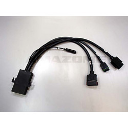 Y-Cable 10-pole + 16-pol. NL499, Amazone