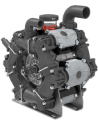 BPS 300